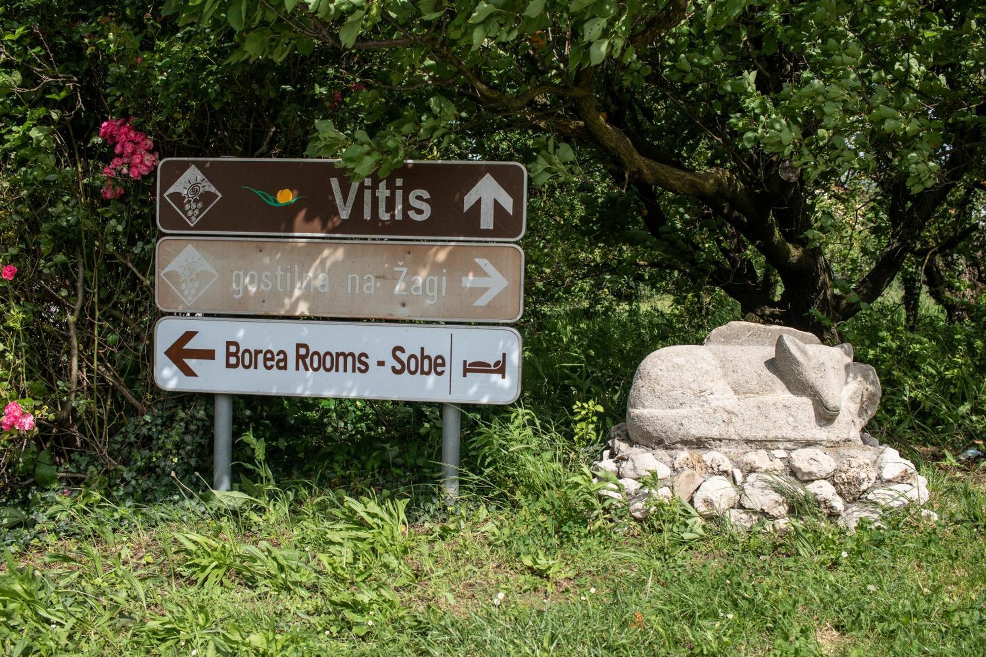 Borea Rooms - Sobe Budanje Vipava Kültér fotó