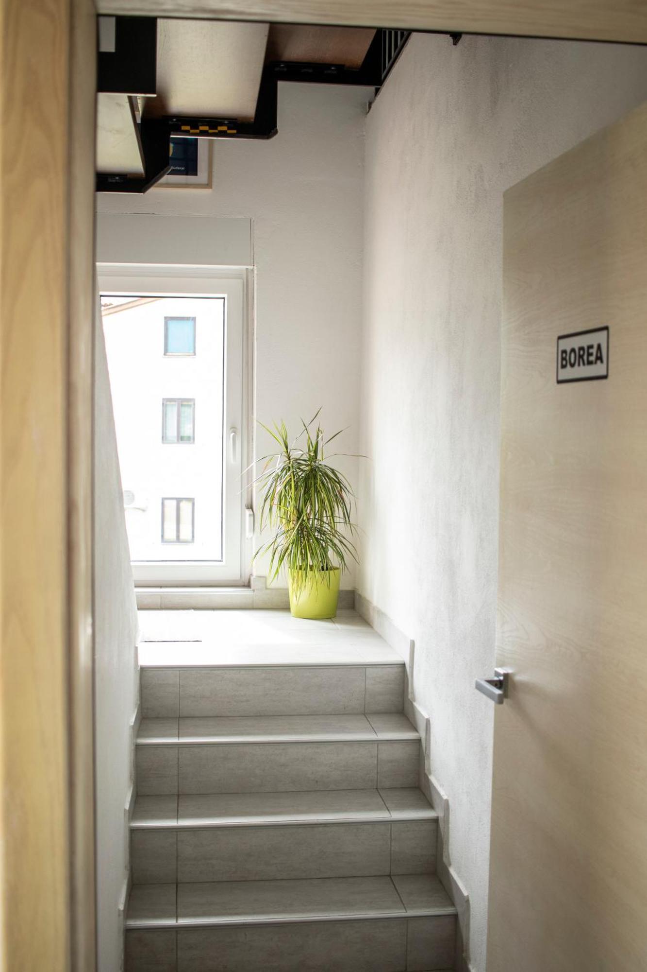 Borea Rooms - Sobe Budanje Vipava Kültér fotó